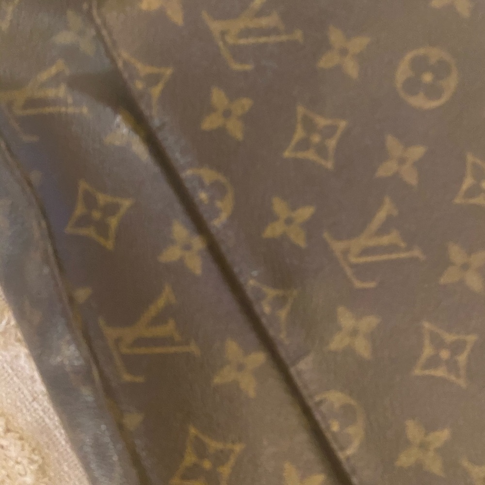 Louis Vuitton Bag - Picture 7 of 17